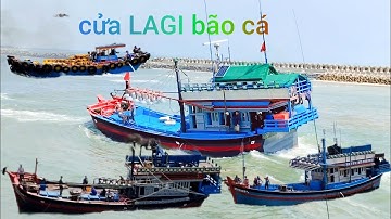 VLOG 658: bữa này cảng LAGI thành sa mạc cá cơm hàng trăm tấn!!!