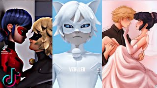 Miraculous Ladybug Tiktoks That Made Adrien Have A Childhood Dream 