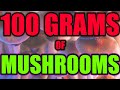 God dose  100 gram mushroom trip