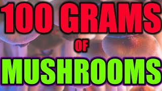 GOD DOSE - 100 GRAM MUSHROOM TRIP