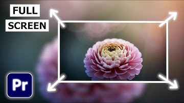 How to View Full Screen Preview In Premiere Pro | Full Screen Playback Tutorial