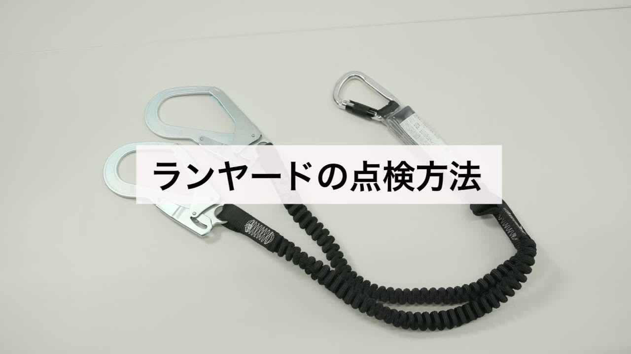 3M DBI-サラ EZ-Stop 伸縮式ランヤード ツイン 1246510 - 1