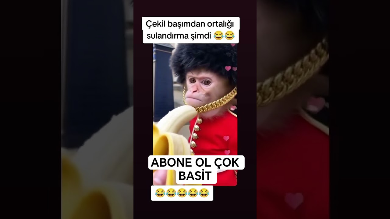 Bu Bana Yapılır mı?