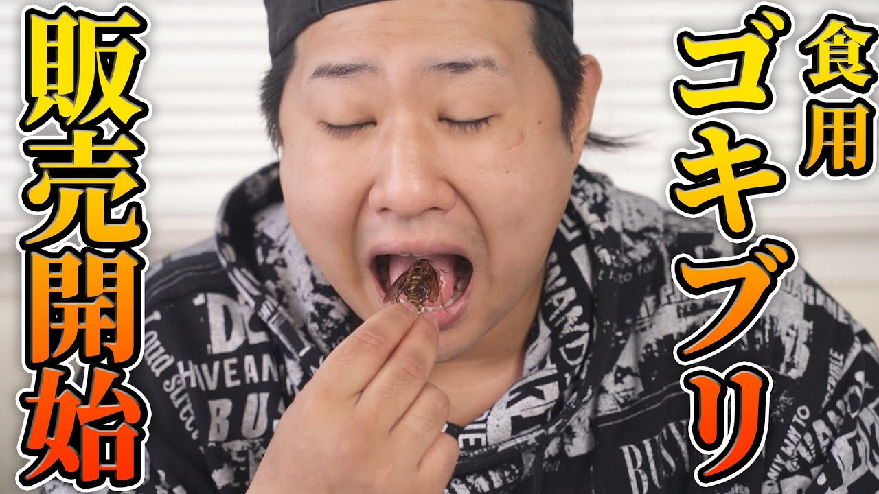 【販売開始！！】自分で育てたゴキブリが美味しすぎる
