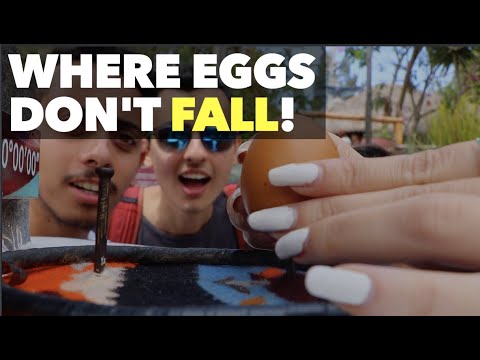 Where Eggs Don't Fall!