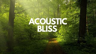 Relaxing Background Guitar Music - meditate, focus, study, think \/ Acoustic Guitar Instrumental mix