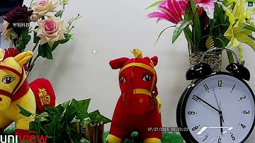 Uniview Smart search function introduction