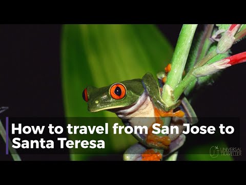 How to travel