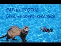 ЛАРИН ПРОТИВ - Сёма не хочет купаться
