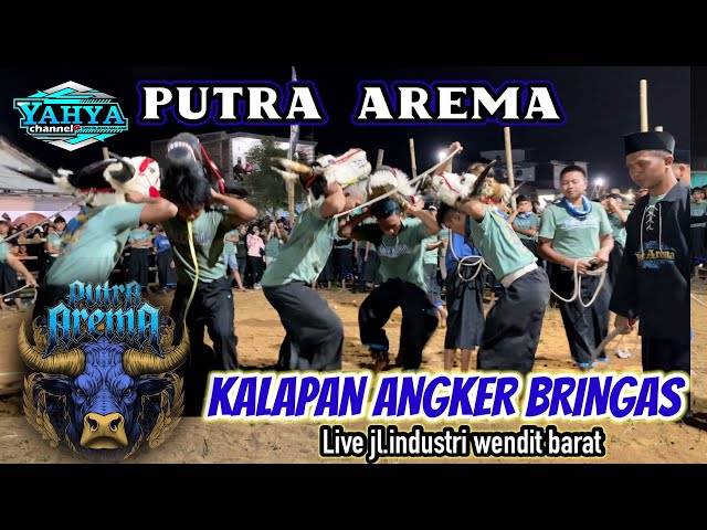 KALAPAN ANGKER BRINGAS || PUTRA AREMA || live jl.industri wendit barat 04/05/2024 malang class=