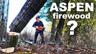 CUTTING SHOULDER SEASON FIREWOOD ASPEN POPLAR IS IT GOOD?