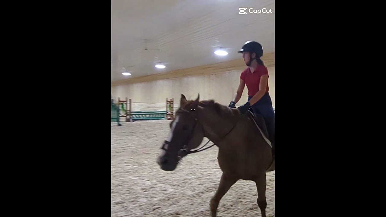 It Was So Hot And I Getting Tired Reactionvideo Smallyoutuber Nostirrups Ponylover