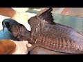 Thai Food - GIANT RIPSAW CATFISH Bangkok Seafood Thailand