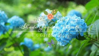 日陰をいかす庭づくり 半日陰で育つ湿気に強い植物 花 リーフ グランドカバー 低木 T S Gardenのガーデニング Youtube 日陰をいかす庭づくり 半日陰で育つ湿気に強い植物 花 リーフ グランドカバー 低木 T S Gardenのガーデニング Youtube