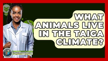 What Animals Live In The Taiga Climate? - Earth Science Answers