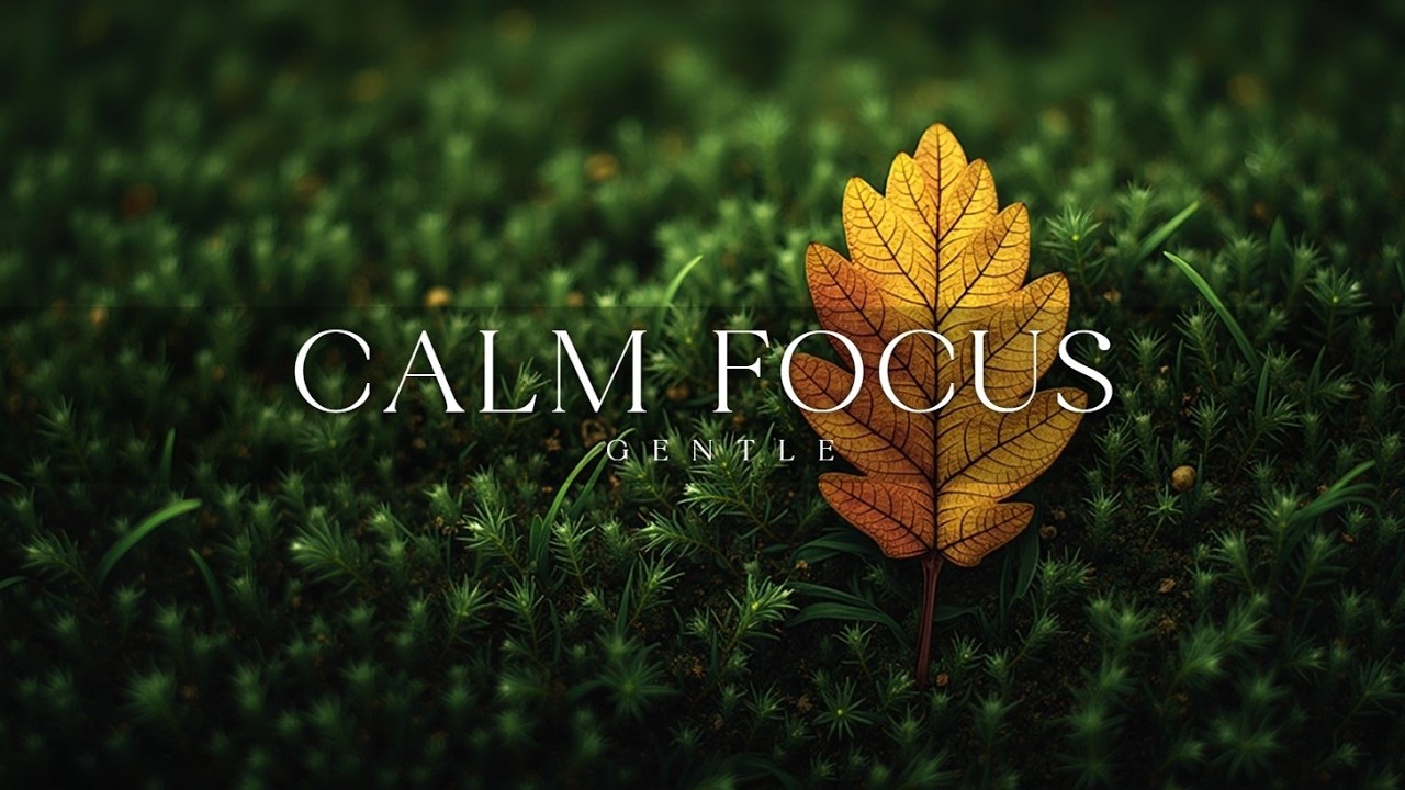 Спокойная гитара ~ Успокаивающие мелодии для фокуса и отдыха