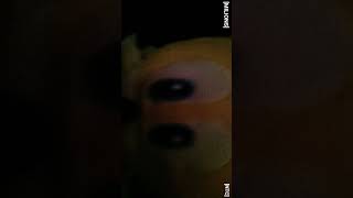 hide and seek sonic.exe cover español remake 2021 (versión peluche) créditos a @MILIONS