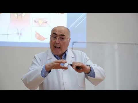 ენდოკრინული სისტემის ორგანოები