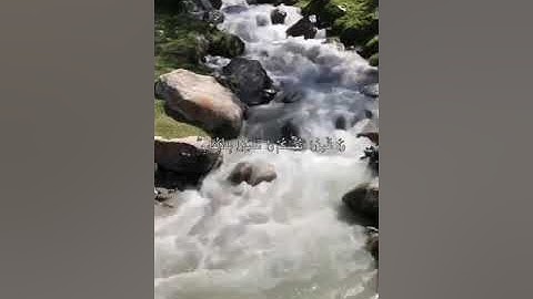[الحجرات: ١١] القارئ: مشاري بن راشد العفاسي