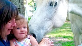 FRIENDLIEST HORSE IN THE WORLD!