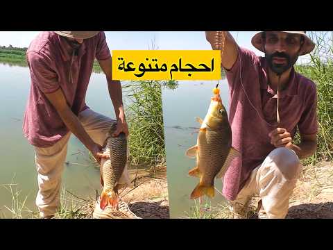 I was surprised by the catch, big and small fish, a morning outing.