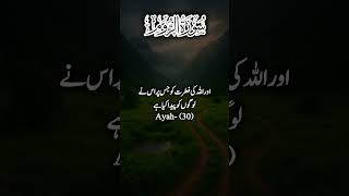 Surah rum ayah 30 #quranatajktimes #quranicayah #quranicsurah