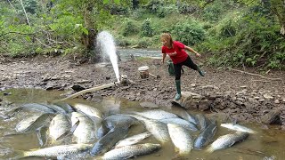 Fishing Techniques : Use The Pump To Suck Out All The Water In The Lake - Catch A Lot Of Fish