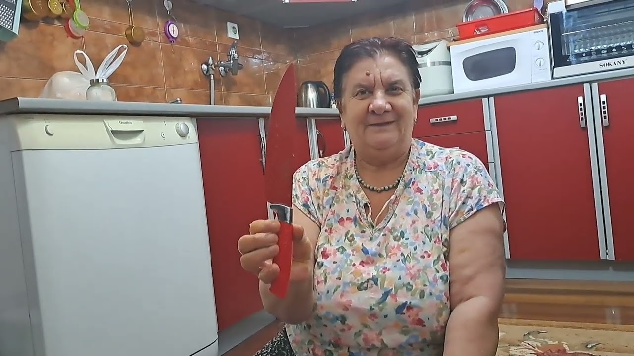 Sarmica od domaćeg sjeckanog mesa 😃