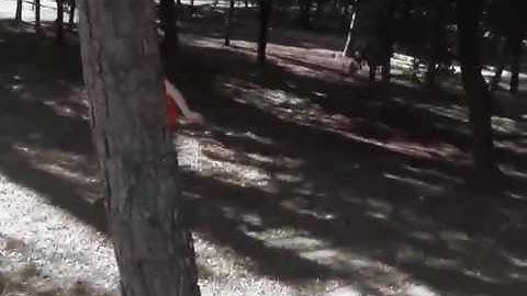 Videoclip_definitivo.mov