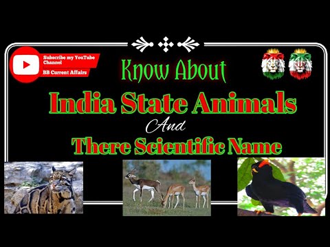 இந்திய மாநில விலங்குகள் மற்றும் பறவைகள் அவற்றின் அறிவியல் பெயருடன்