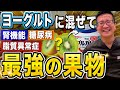 【食べなきゃ損】ヨーグルト＋〇〇〇で糖尿病・脂質異常症・腎機能に関係する奇跡のフルーツ【現役医師解説】