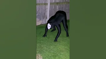 Song Is Cbat Btw Demon Milkdemon Thirstydemon Meme Memes Spooky Scp Creature Monster 