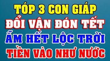 Tết Năm 2025: Tóp 3 con giáp "Đổi Vận" Đón Tết Giàu Sang: Thần tài gõ cửa, lộc lá đầy nhà!