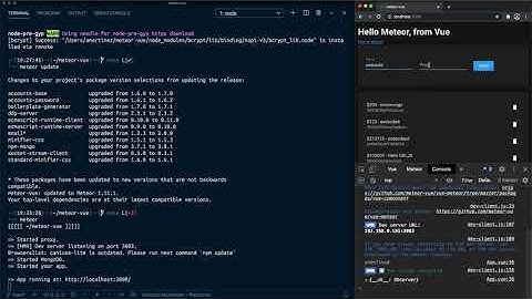 31: [Meteor + Vue] Updating Meteor