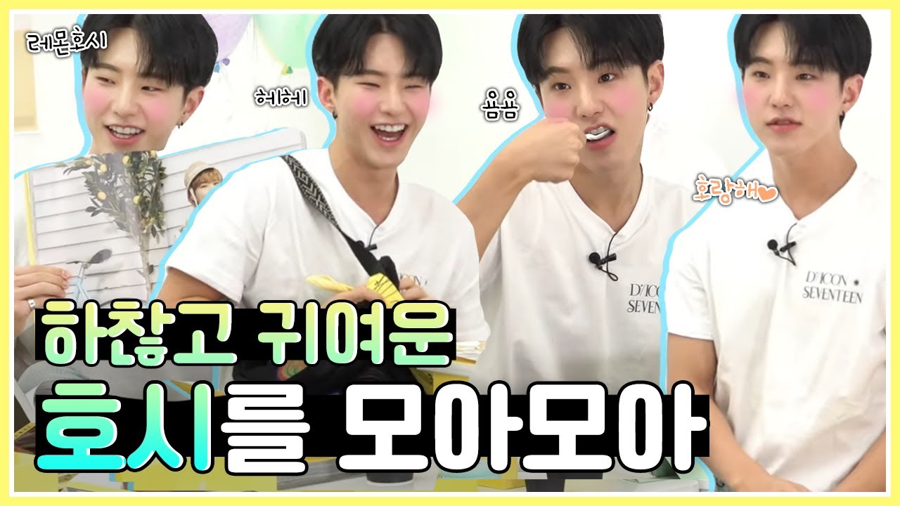 [세븐틴/호시/권순영] 하찮고 귀여운 호시를 모아모아