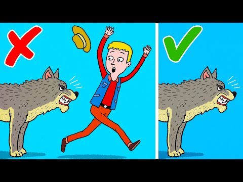 Vidéo: Comment échapper à Un Loup