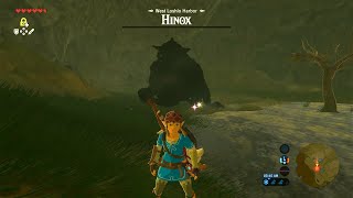 Famous Hinox #30 - 4 - Hinox - West Loshio Harbor - Hateno Tower - Breath of the Wild - Nintendo Switch Net Worth