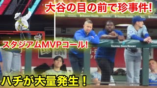 速報！大谷の目の前で珍事件！ハチ大量発生でスタジアムMVP大合唱コール！現地映像