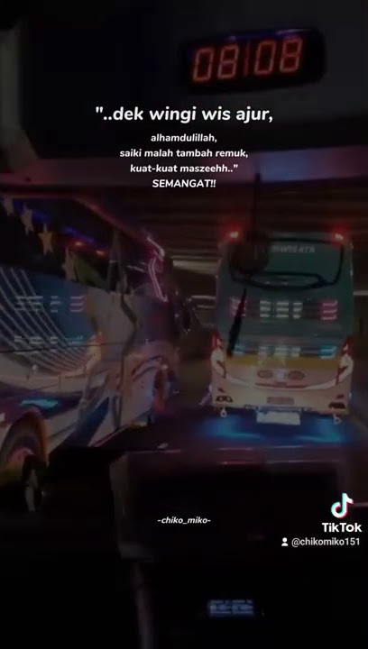 story wa bus