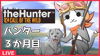 【thehunter:COTW】#126 弓メインで行くか('ω')【Vtuber】