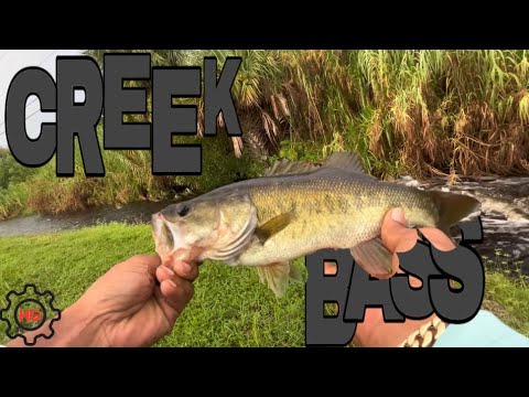 Creek fishing for BIG BASS!!!