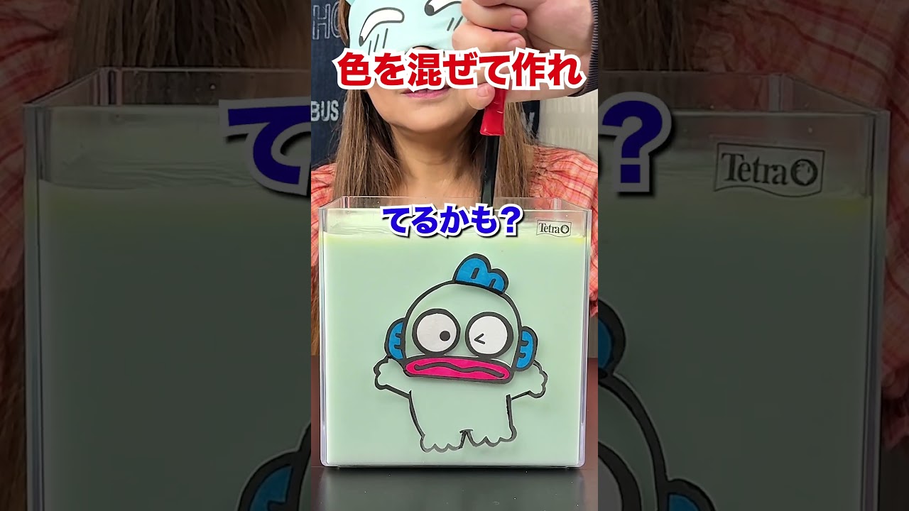 ハンギョドンの色を決めます