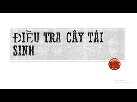 Video Tổng hợp chim Hót| điều tra cây tái sinh - youtube
