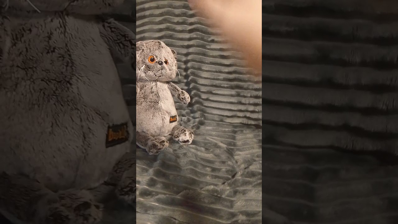 Сколько вам лет? 🧸 #рекомендации #прикол #рек #басик #юмор #dance