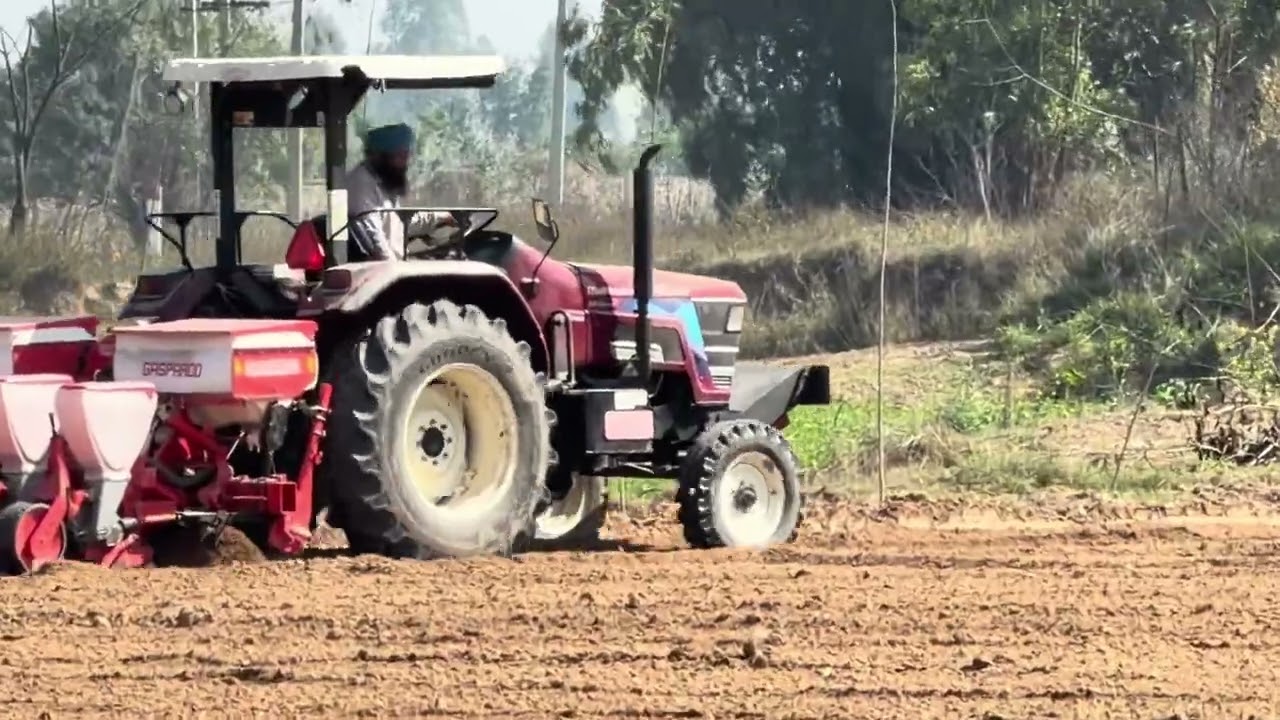 Gasprado sp planter @Maize Plantation