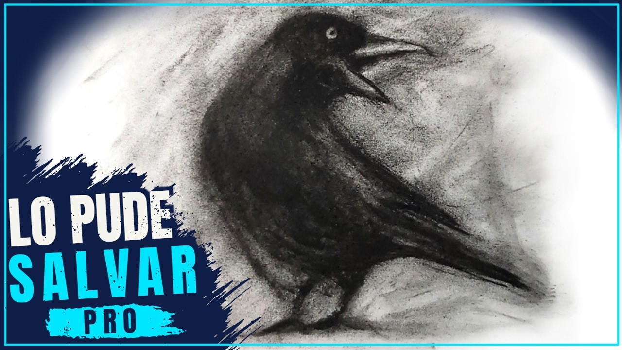 Cómo Dibujar un Cuervo con Carboncillo: Aprende a Corregir Errores ...