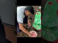 Ghumne Se ï Paisa Waste Hota Hai Viralvideo Shortvideo Enjoy Nature Ghumne Se ï Paisa Waste Hota Hai Viralvideo Shortvideo Enjoy Nature