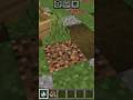 SOME FACTS ABOUT MINCRAFT #minecraft #gaming