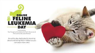 Deescalating FeLV | Dr. Heather Kennedy | 2021 Feline Leukemia Day