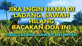 Download Lagu JIKA INGIN HAMA DI LADANG, SAWAH HILANG  ||  BACAKAN DOA INI MP3